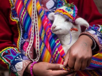 Latin American vs Spain Spanish: 10 Key Differences