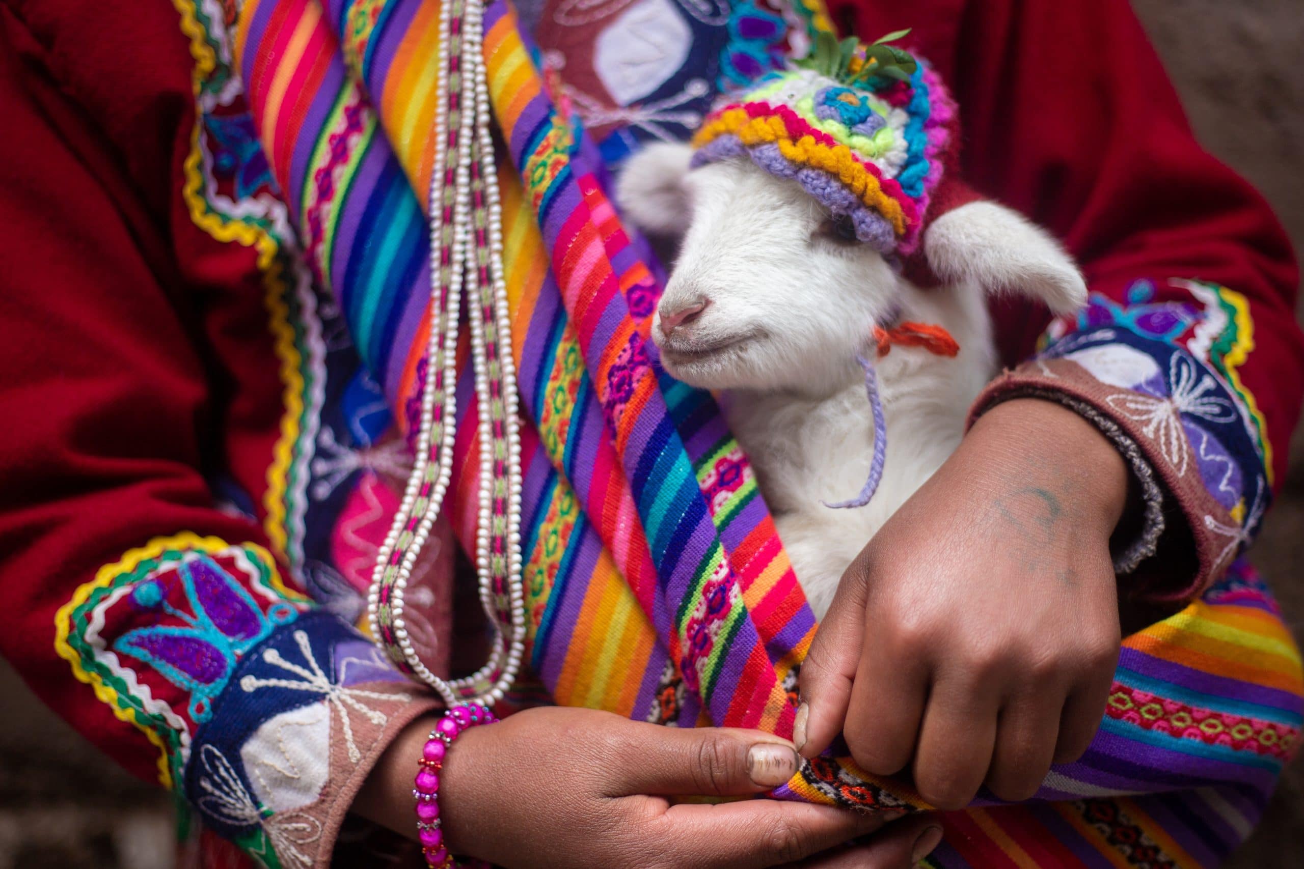 Latin American vs Spain Spanish: 10 Key Differences